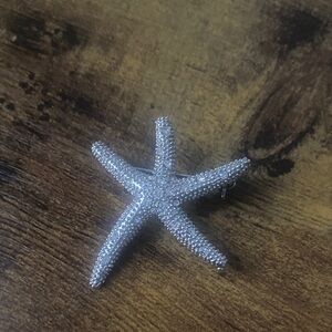 Shiny Starfish Brooch